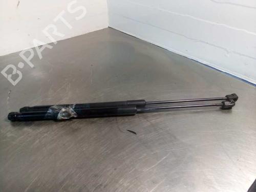 Tailgate lift support AUDI A1 (8X1, 8XK)  | BP14354172C138 