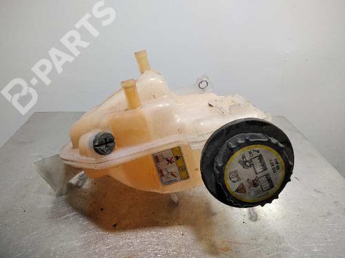 Used Expansion tank LAND ROVER RANGE ROVER SPORT I (L320) [2005-2013]  10093507