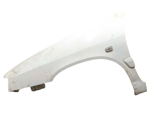 Guarda-lamas esquerdo Guarda-lamas esquerdo CITROËN XANTIA (X1_, X2_) 1.9 Turbo D (90 hp) 28825623 28825623