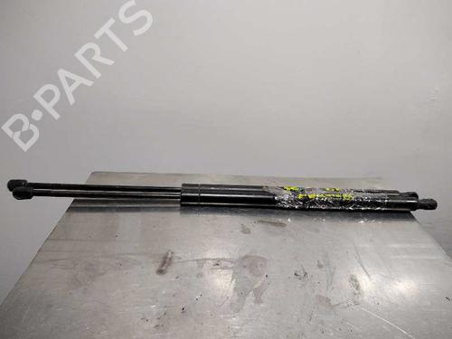 Used Tailgate lift support LAND ROVER RANGE ROVER SPORT I (L320) 3.0 D 4x4 (245 hp) 14348630