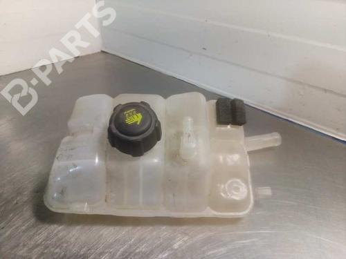 Expansion tank RENAULT MEGANE IV Grandtour (K9A/M/N_) 1.5 dCi 110 | BP10751722C120 
