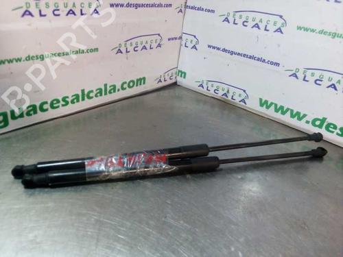 Tailgate lift support BMW 1 (F20) 116 d | BP14354475C138 