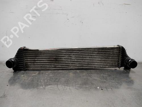 Used Intercooler Intercooler RENAULT MASTER III Van (FV) 2.3 dCi 125 FWD (FV0C, FV0D, FV0G, FV0H, FV0J, FV0K,... (125 hp) 10027597 10027597