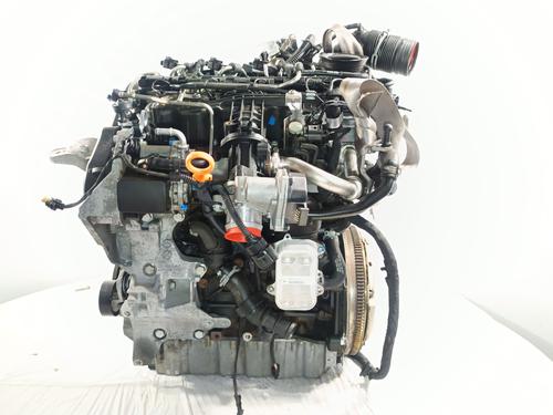 Engine VW POLO V (6R1, 6C1) 1.6 TDI | BP31137198M1 
