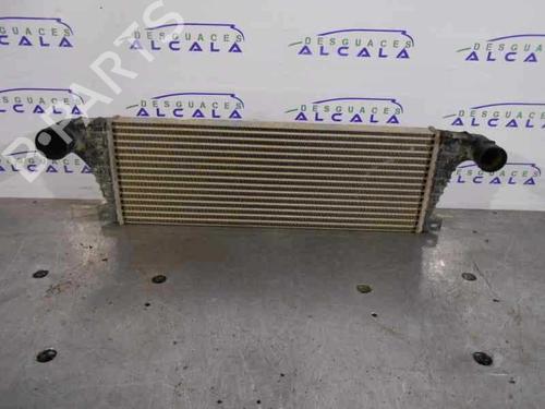 Intercooler Intercooler SANTANA PS10/ANIBAL [2002-2026] 14351582 14351582