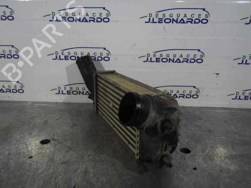 Intercooler SANTANA PS10/ANIBAL | BP14351558M30 - Image 3