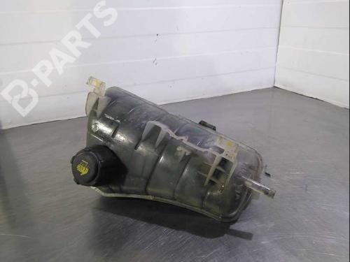 Expansion tank RENAULT KANGOO Express (FW0/1_)  | BP10958129C120 