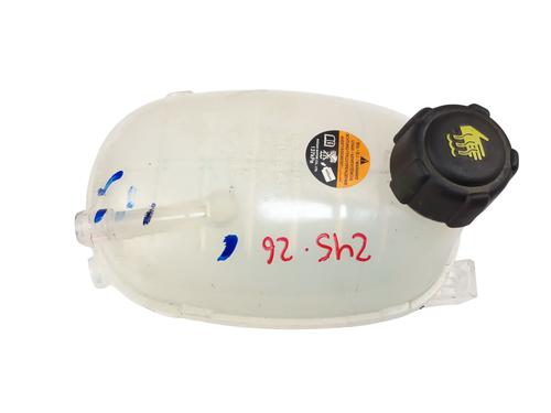 Used Expansion tank Expansion tank NISSAN JUKE (F16_) 1.0 (114 hp) 33989763 33989763