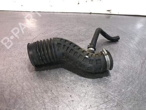 Used Pipe RENAULT KOLEOS I (HY_) 2.0 dCi (HY0K) (150 hp) 14349369