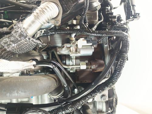 Engine FORD C-MAX II (DXA/CB7, DXA/CEU)  | BP29935651M1