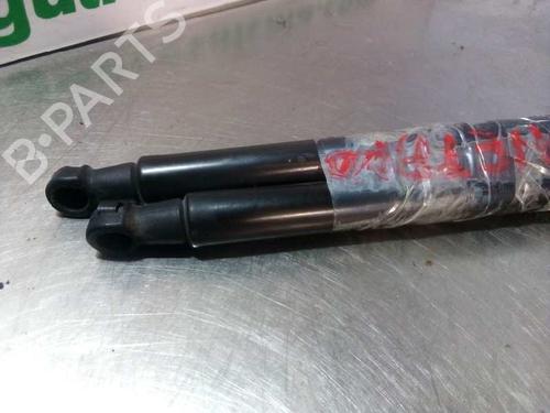 Tailgate lift support BMW 1 (F20) 116 d | BP14354475C138 