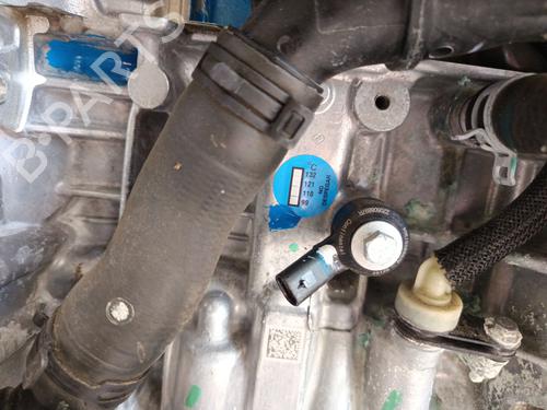 Engine NISSAN JUKE (F16_) 1.0 | BP34194097M1  - Image 16