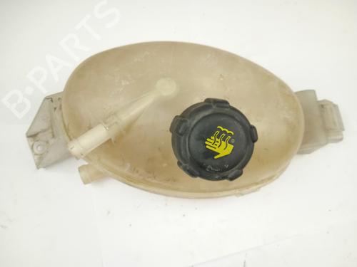 Used Expansion tank RENAULT MASTER III Van (FV) 2.3 dCi 125 FWD (FV0C, FV0D, FV0G, FV0H, FV0J, FV0K) (125 hp) 19800553