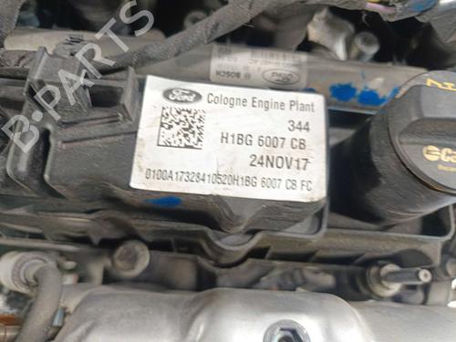 Engine FORD FIESTA VII (HJ, HF) 1.0 EcoBoost | BP37068467M1 - Image 12