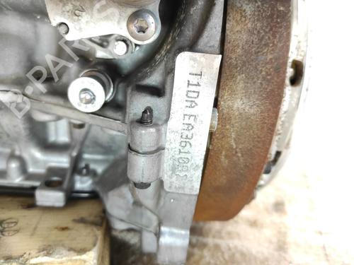 Engine FORD C-MAX II (DXA/CB7, DXA/CEU)  | BP28515316M1 