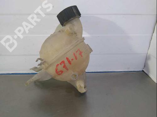 Expansion tank PEUGEOT 207 (WA_, WC_)  | BP9989738C120 