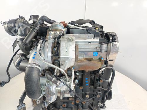 Engine AUDI A3 (8V1, 8VK) 1.6 TDI | BP32091660M1 