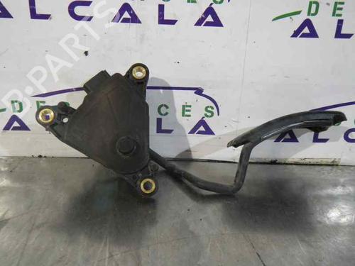 Pedal RENAULT CLIO III (BR0/1, CR0/1)  | BP13054872I4 