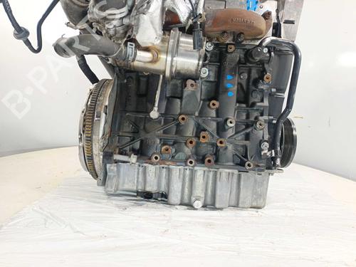 Engine AUDI A3 (8V1, 8VK) 1.6 TDI | BP32091660M1  - Image 7