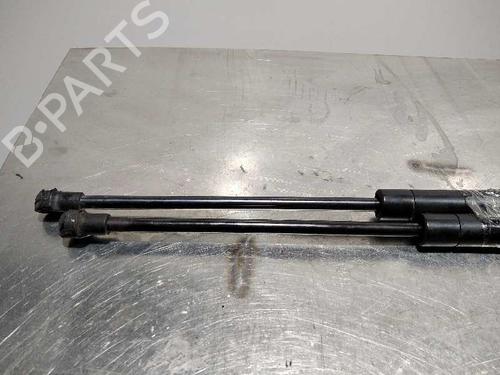 Hood lift support LAND ROVER RANGE ROVER SPORT I (L320) 3.0 D 4x4 | BP14348637C139 