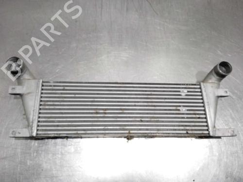 Intercooler Intercooler SANTANA PS10/ANIBAL [2002-2026] 11567792 11567792