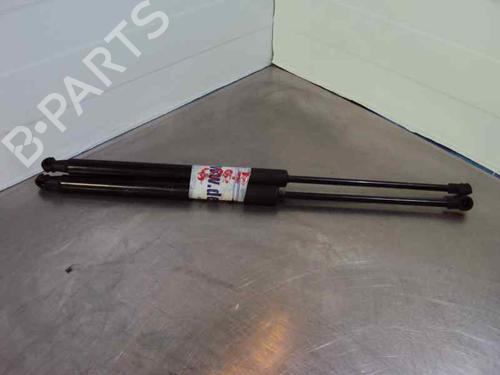 Tailgate lift support BMW 1 (F20)  | BP14352920C138