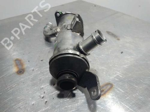 Egr LAND ROVER DISCOVERY III (L319) 2.7 TD 4x4 | BP14355259M69 