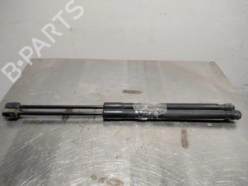 Tailgate lift support SKODA FABIA I (6Y2) 1.4 TDI 44 | CM