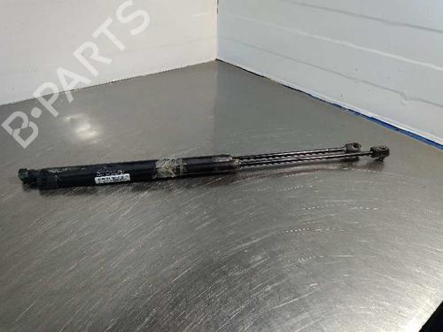 Tailgate lift support OPEL MERIVA A MPV (X03)  | BP14353960C138 