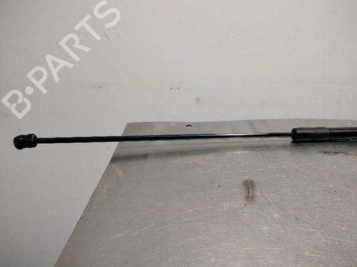 Hood lift support VW GOLF VII (5G1, BQ1, BE1, BE2) 1.6 TDI | BP14347891C139 