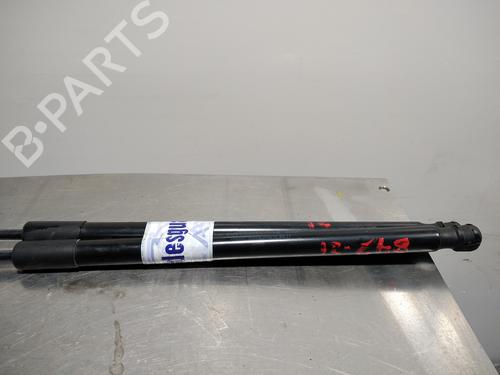 Tailgate lift support FORD FOCUS III  | BP14348791C138 