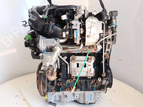 Engine NISSAN QASHQAI II (J11, J11_) 1.6 dCi | BP36359677M1  - Image 5