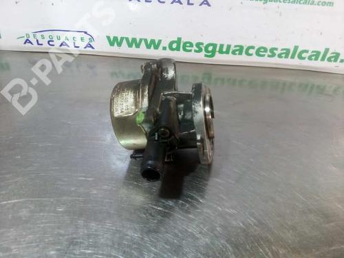Vacuum pump RENAULT MEGANE II (BM0/1_, CM0/1_)  | BP10029590M80 