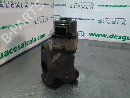 Egr NISSAN NAVARA NP300 (D40) 2.5 dCi 4WD | BP14353859M69 