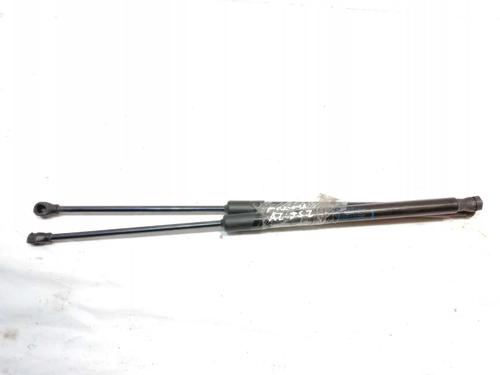 Used Tailgate lift support Tailgate lift support RENAULT CLIO V (B7_) 1.5 Blue dCi 100 (B7AD) (101 hp) 18085390 18085390
