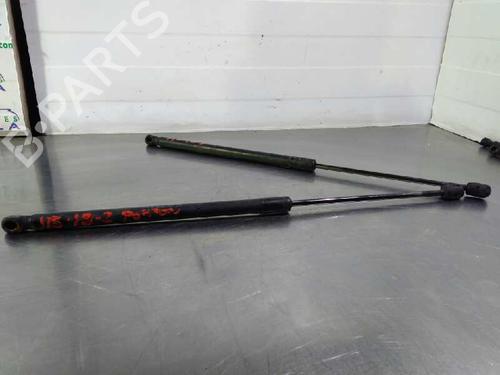 Tailgate lift support BMW 3 Touring (E91)  | BP14353248C138 
