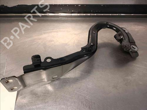 Hinge/Door check strap RENAULT ESPACE V (JR_)  | BP21587438C146 