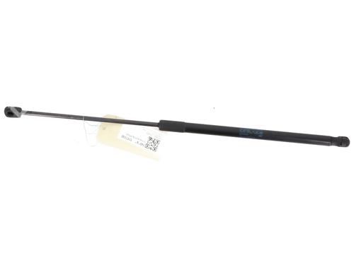 Tailgate lift support SKODA OCTAVIA II (1Z3) 1.6 TDI | BP22956211C138 