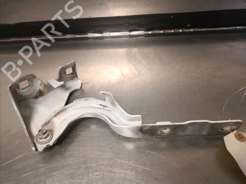 Hinge/Door check strap FIAT TIPO Hatchback (356_, 357_) 1.4 (356HXA1B, 357) | BP14865932C146 