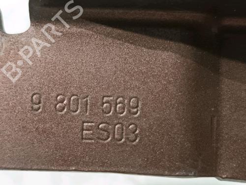 Hinge/Door check strap MINI MINI COUNTRYMAN (R60) One | BP18204204C146 