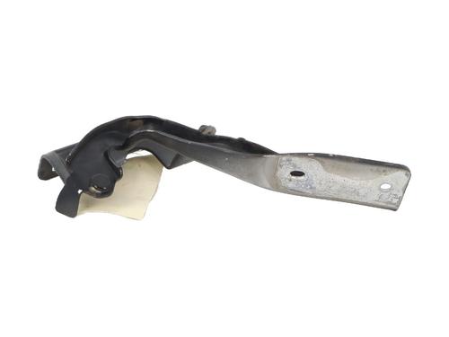 Hinge/Door check strap RENAULT KOLEOS I (HY_) 2.0 dCi (HY0K) | BP27375401C146 