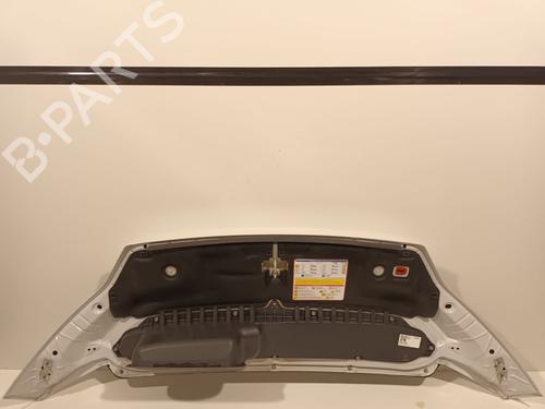 Hood FIAT DUCATO Platform/Chassis (250_) 130 Multijet 2,3 D | BP22616212C1 