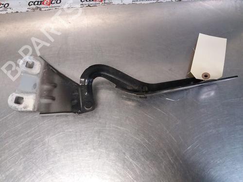 Hinge/Door check strap RENAULT WIND (E4M_) 1.2 (E4MF) 515503040904