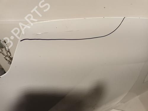 Used Hood RENAULT CLIO IV (BH_) 1.5 dCi 75 (75 hp) 31939281