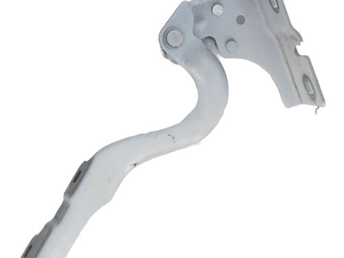 Dørhængsel/Dørbegrænser RENAULT SCENIC E-TECH PHASE I EV87 | BP31847976C146