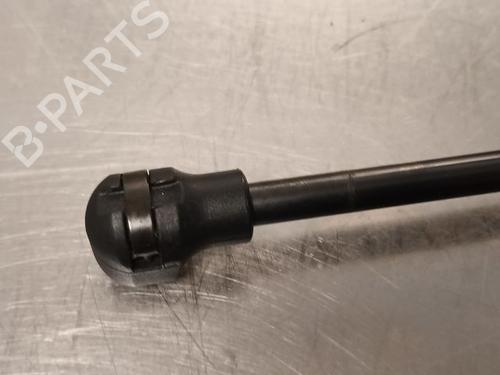 Tailgate lift support RENAULT CAPTUR II (HF_)  | BP21801842C138 