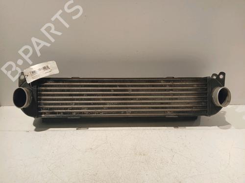 Used Intercooler LAND ROVER RANGE ROVER SPORT I (L320) 2.7 D 4x4 (190 hp) 18204009