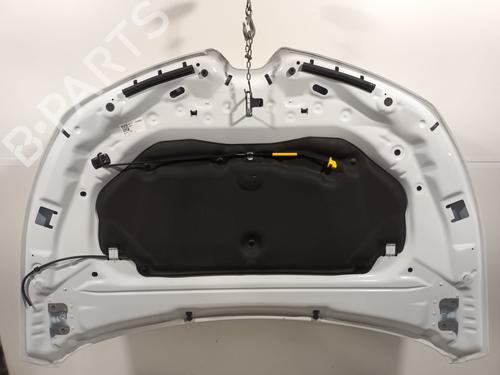 Hood RENAULT CLIO V (B7_) 1.5 Blue dCi 100 (B7AD) | BP31636387C1