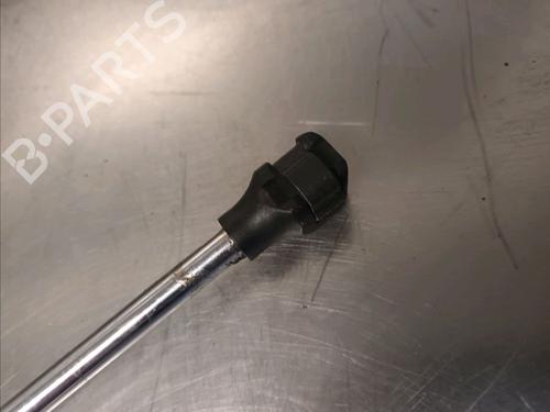 Tailgate lift support LANCIA PHEDRA (179_) 2.0 D Multijet (179.AXL1B, 179.BXL1B) | BP14868393C138 