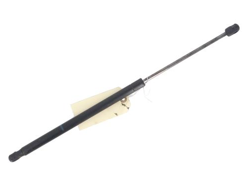 Used Tailgate lift support RENAULT SCÉNIC II (JM0/1_) 1.5 dCi (JM1F) (86 hp) 27729880